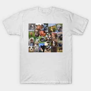 cows aesthetic collage T-Shirt